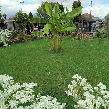 Panorama Vels 1