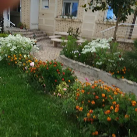 Panorama Vels 1 *